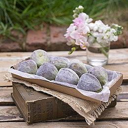 《DOTA2》TI双冠王Team Spirit现已入驻微博